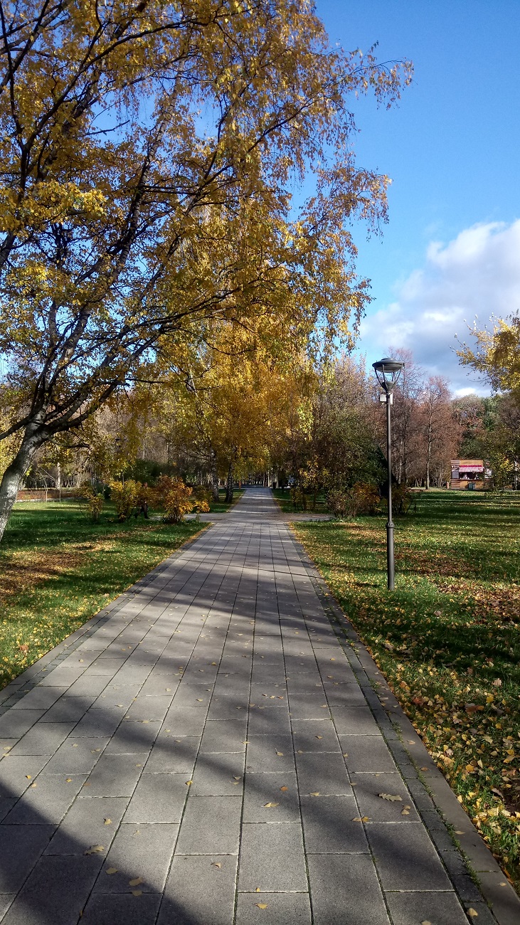 Леоновский парк ("Сад Будущего")